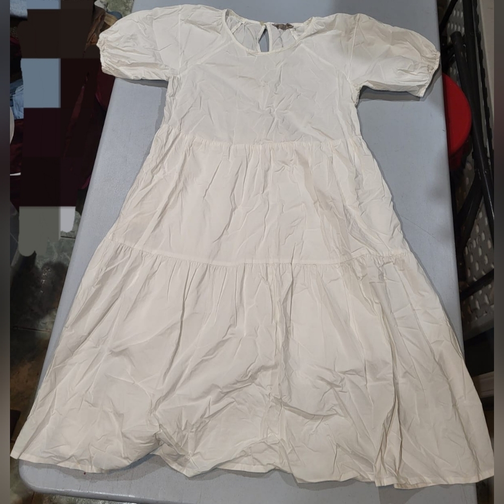 Everlane Cream Puff Sleeve Dress